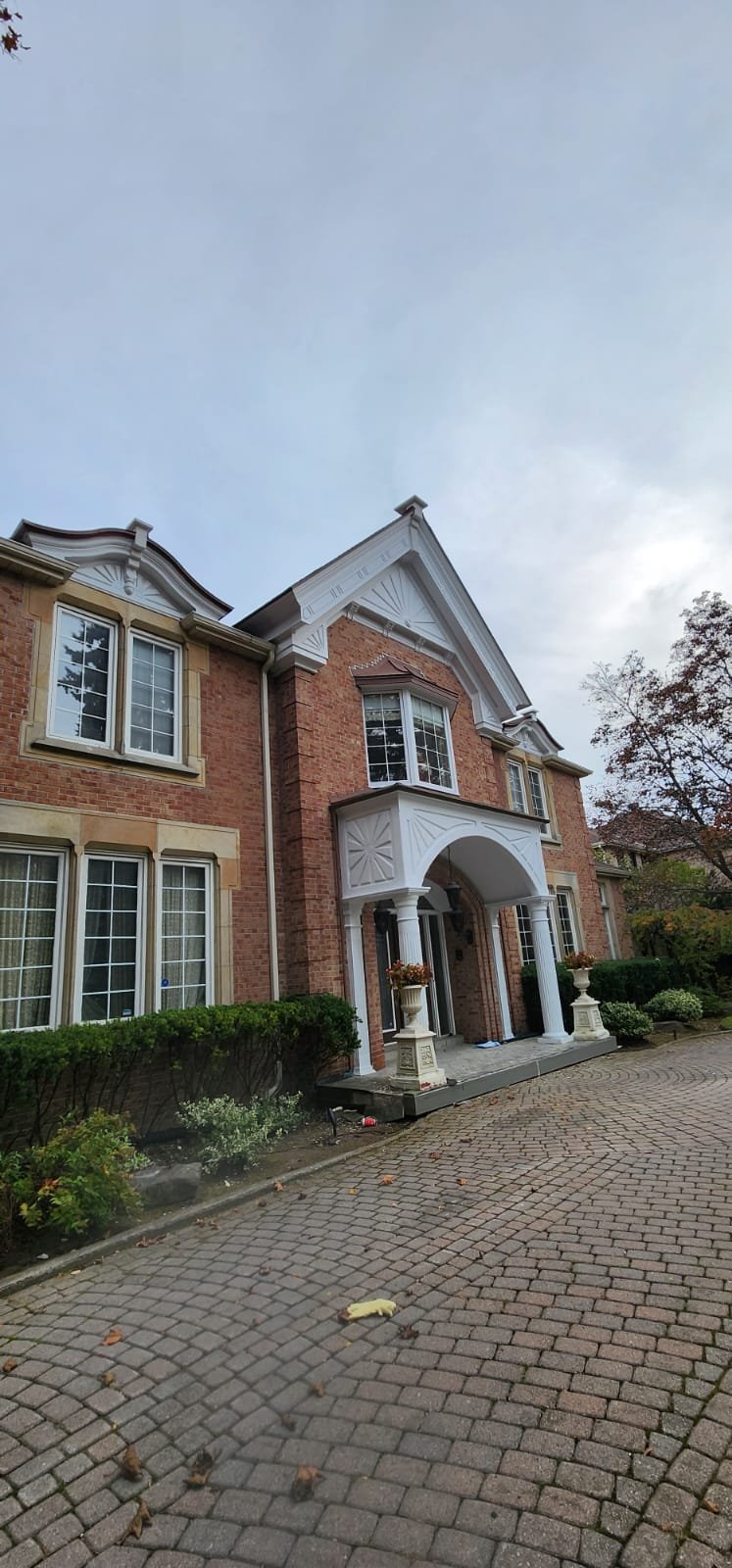 Restoration Project 30