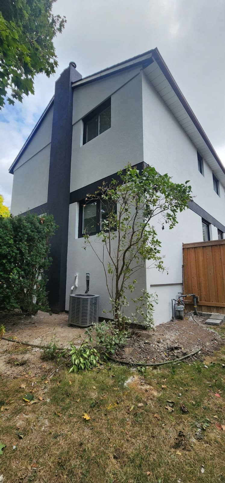 Restoration Project 41